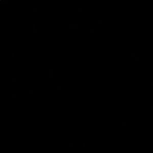 Meet your Posher, Tyson